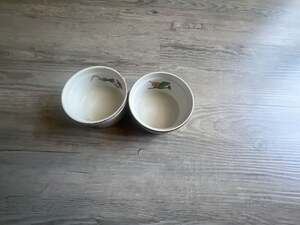 Woodhill Floral Botanical Ceramic Ramekins Set of 2 Oven Safe Bakeware